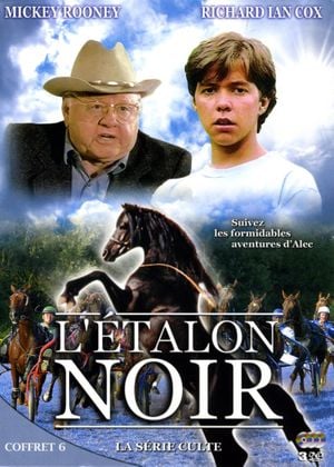 Le film du jour  L'Étalon noir (1990) - The Adventures of the Black Stallion
